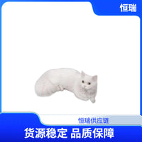 Double-Layer Cat Litter Mat Trapper, Washable Anti-Tracking Litter Box Mat
