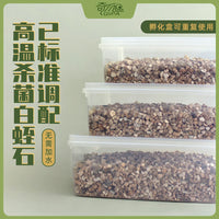 Vermiculite Reptile Egg Incubation Box for Lizards, Geckos, Snakes, and Turtles
