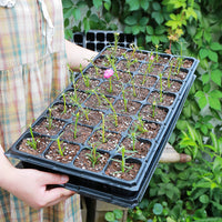 Seedling Starter Trays for Plants, Vegetables, Succulents - Deepened Plastic Nursery Germination Trays