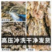 Natural Pine Bark Rock for Aquarium Landscaping and Micro-Landscape Decor