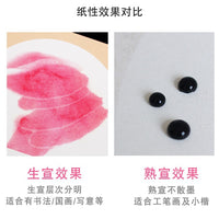 Thickened Xuan Paper for Calligraphy and Painting, Blank Mirror Surface Watercolor Paper for Traditional Chinese Painting and Fine Brushwork