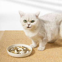 Pet Slow Feeder Bowl for Dogs and Cats - Anti-Gulping Bloat Stop Dish