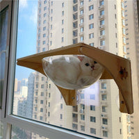 Cat Window Hammock Suction Cup Perch Transparent Capsule Cat Wall Glass Scratching Post Hanging Cat Bed