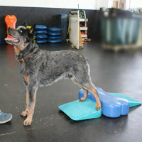 FitPAWS Ramp Inflatable Wedge for Dog Fitness Ball Muscle Weight Transfer Training