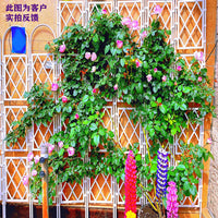U-Shaped Metal Garden Trellis for Climbing Plants, Roses, and Vines
