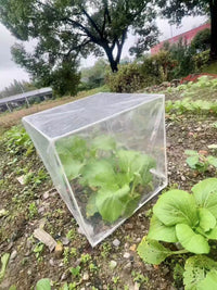 Succulent Flower Greenhouse Plant Insect-proof Seedling Cover Winter Warm Balcony Outdoor Plant Frost Protection Cover