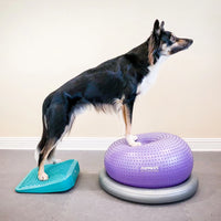 FitPAWS Ramp Inflatable Wedge for Dog Fitness Ball Muscle Weight Transfer Training