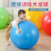 Kids' Sensory Integration Training Ball - 75cm Yoga Ball for Early Education & Balance