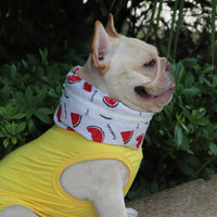 Pet Cooling Scarf for Dogs, Summer Heat Relief Ice Collar for French Bulldogs Pugs