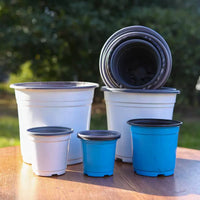 Disposable Two-Tone Nursery Pots for Seedlings and Succulents, Plastic Planters for Home Gardening