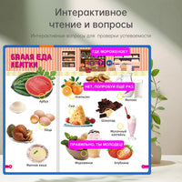 Russian Talking Educational Book for Kids - Rechargeable