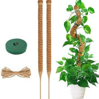 Bendable Coir Moss Pole for Climbing Plants - DIY Customizable Plant Support for Potted Plants