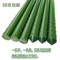 50-Pack Plastic-Coated Steel Plant Support Stakes for Climbing Vines, Flowers, and Vegetables