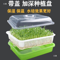 Seed Sprouting Tray with Lid - Hydroponic Bean Sprout and Seedling Germination Kit
