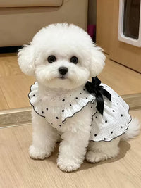 Pet Dog Summer Thin Princess Dress with Traction D-Ring for Small Dogs
