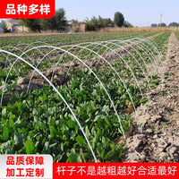 Fiberglass Greenhouse Hoops for Garden Netting and Plant Support