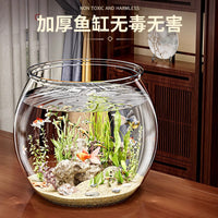 Clear Plastic Fish Tank Aquarium for Micro-Landscape and Turtle Habitat, Shatterproof Office Decor