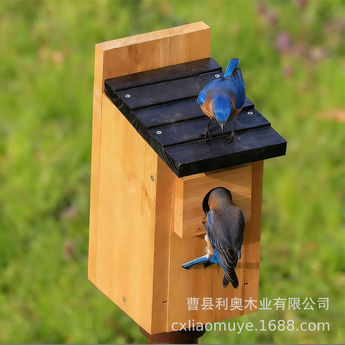Outdoor Wooden Bird Cage Anti-Rat Hanging Bird Feeder Garden Yard Bird Nest House