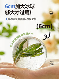 Large Sphere Ice Cube Mold with Lid for Whiskey and Cocktails, 2-Pack