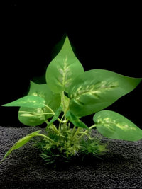 Aquarium Artificial Plant Decor - Large Leaf Banyan & Colorful Foliage