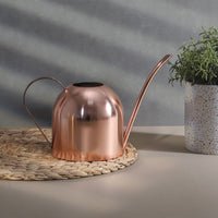Stainless Steel Long Spout Watering Can for Indoor Outdoor Plants, 450ML
