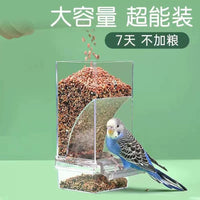 No-Mess Automatic Bird Feeder with Husk Separation for Parrots and Small Birds