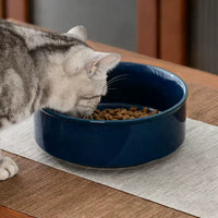 Ceramic Pet Bowl for Cats and Dogs, Anti-Tip Design, Large Capacity Food and Water Dish