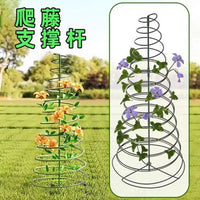 Adjustable Spiral Plant Support Stake for Climbing Vines and Tomatoes