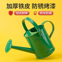 1.5L Metal Watering Can for Indoor/Outdoor Plants and Kids