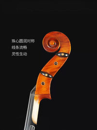 Violin C101 Cello Professional Performance Grade Italian Spruce for Adults and Beginners