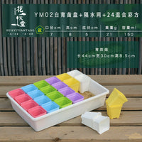 Succulent Plant Nursery Tray with Drainage Board and Square Pots for Seed Starting and Cultivation