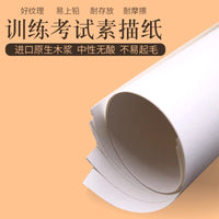 Aowen Zebra Sketch Paper for Drawing and Practice, 8K/4K, 160/180gsm, 20 Sheets/Bag