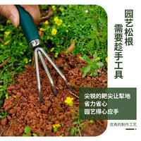 Mini Garden Tool Set for Potted Plants - Trowel, Rake, and Pruner