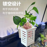 Aquarium Plant Holder Wall-Mounted Hydroponic Basket for Aquatic Plants and Decorations