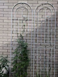 Clematis Climbing Trellis Rose Garden Fence Outdoor Metal Plant Support Frame Net