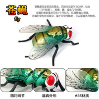 Insect Life Cycle Figurines Educational Toy Set