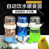 Automatic Water Feeder for Quail, Parrots, Pigeons, and Other Small Birds