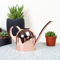 Stainless Steel Long Spout Watering Can for Indoor Outdoor Plants, 450ML