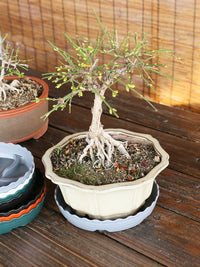 Ventilated Thickened Resin Plant Pot Saucer with Drainage Base