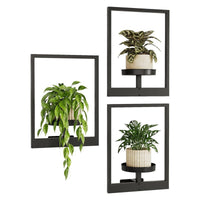 Metal Wall-Mounted Planter Holder for Indoor Plants