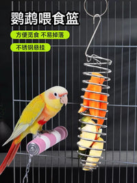Stainless Steel Bird Feeder Fruit Vegetable Basket Hanging Toy Parrot Feeding Device Bird Cage Accessory