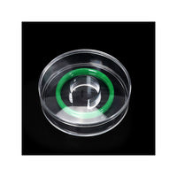 Acrylic Jewelry Display Tray for Bracelets, Jade, and Gemstones - Transparent Organizer