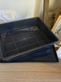 Seedling Tray with 20 Cells and Optional Humidity Dome for Succulents and Plant Propagation