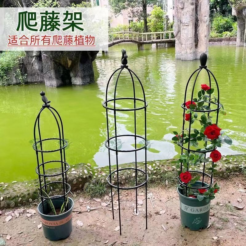 Climbing Plant Trellis for Clematis Roses Indoor Potted Plants