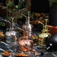 Stainless Steel Watering Can for Indoor Plants, Small Garden Spray Bottle with Zinc Alloy Nozzle