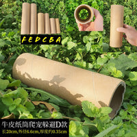 Reptile Hideout Kraft Paper Tube for Snakes, Lizards, Scorpions, Spiders - Simple Cave Shelter