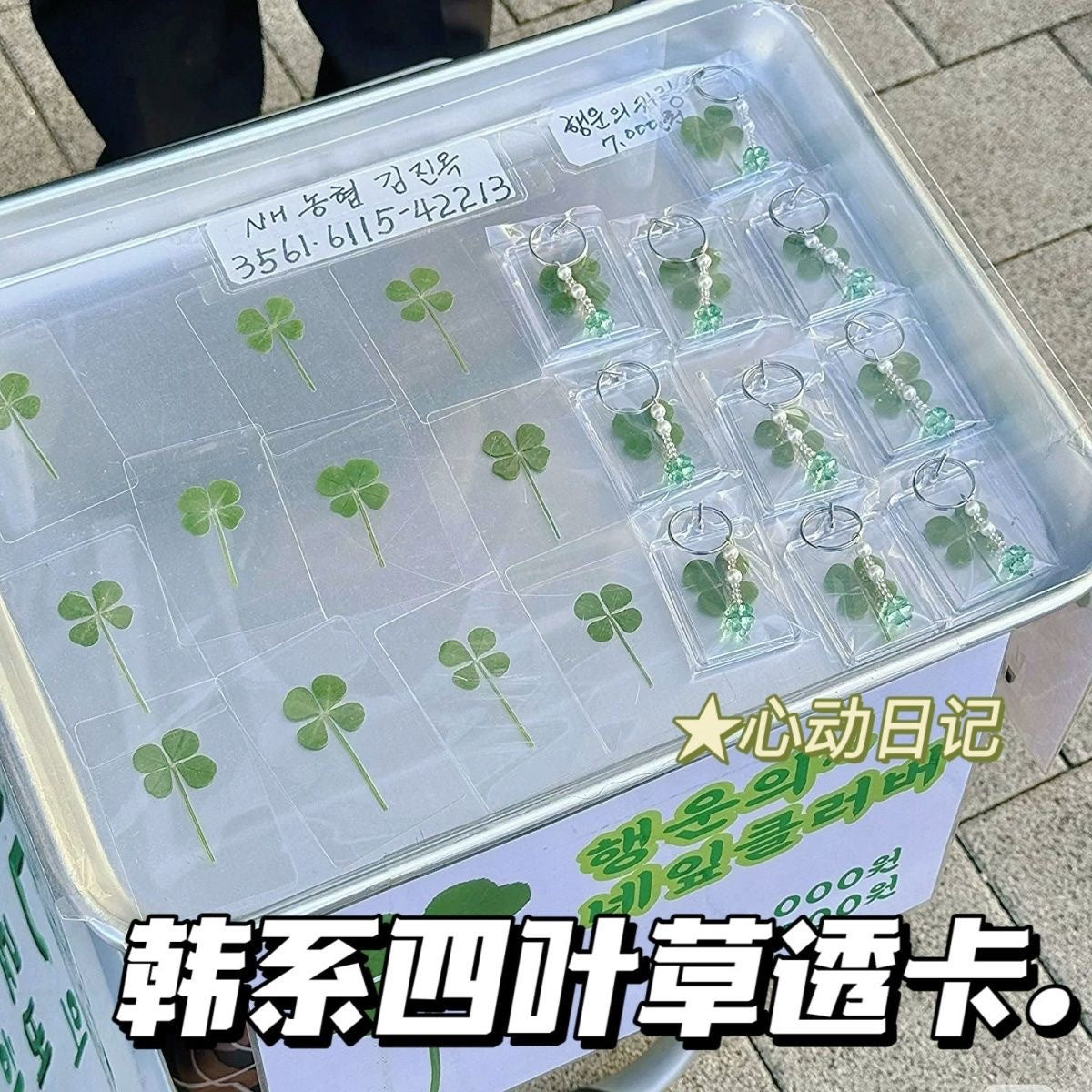 Lucky Four-Leaf Clover Transparent Card Bookmark