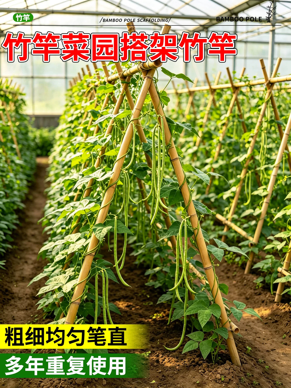 Bamboo Stakes for Garden Trellis, Vegetable Support, Cucumber and Bean Plant Climbing Frame, Small Bamboo Poles for Fences and Vines