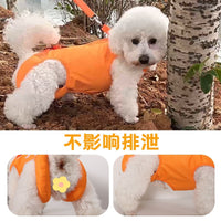 Multi-functional Pet Lifting Harness and Leash for Small Dogs