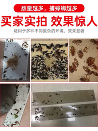 Cockroach Glue Traps for Home, Non-Toxic Indoor Kitchen Pest Control, Strong Adhesive Roach Killer Boards